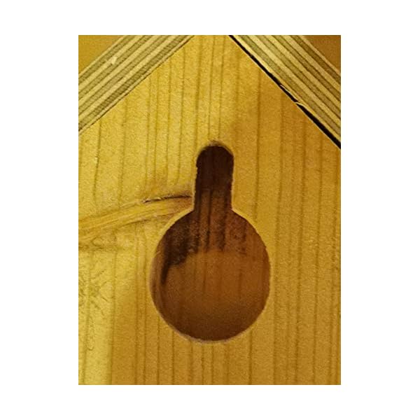 50cm hoch 🐝 XXL 🐝 Insektenhaus 🐝 Winterquartier Bienen Wildbienen Nistkasten aus Holz Insektenhotel Handmade in… – Bild 5