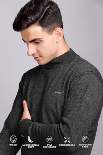 Image of GODFREY Woolen Full Sleeve Sweaters for Men Winter Wear - Turtle Neck Pullover for Men Stylish