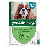 Advantage Spot On Flea Treatment For Medium Dogs 4 - 10 kg (1 pipette, 100mg), Kills Fleas Within 24 Hours, Prevents Further Infestation For Up To Four Weeks