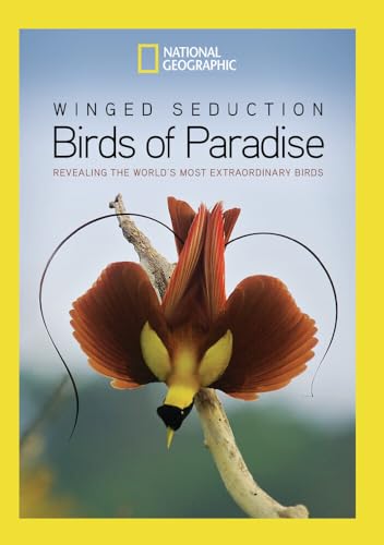 Winged Seduction: Birds Of Paradise [Edizione: Stati Uniti]