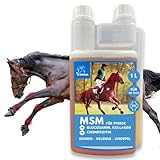 tienda de accesorios para caballos en bogota ♥ EINFACH EN LA DOSIS Los péptidos de colágeno apoyan la reconstrucción del cartílago articular. Favorecen la estabilidad y la flexibilidad ósea. TENDON VITAL PERFORM apoya la movilidad y funcionalidad de todo el sistema musculoesquelético combinándolo con el frasco dosificador MSM, glucosamina y sulfato de crononroitina I - simplemente mézclelo en el alimento habitual para caballos.