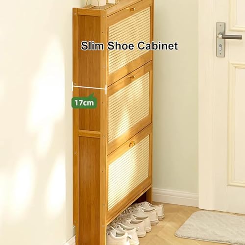 Armoire à chaussures mince avec portes basculantes pour optimiser l'espace - 3