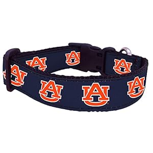 NCAA Auburn Tigers Dog Collar (Team Color, Small)