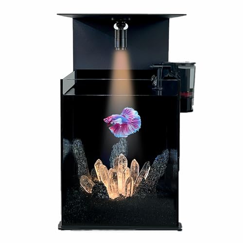 KXx^X^[^[LbgACX|bgCgApAp[tB^[艷x̓AƒItBXɍœK