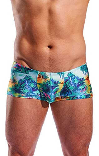 Men's Swin Trunk - CX08PR - (Florida Key