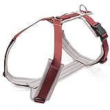 ❤️ Wir Lieben Euch ! Kundenzufrieden ist uns sehr wichtig ! Kontaktiert uns gerne vor oder nach der Bestellung für Fragen. Wir helfen euch gerne !