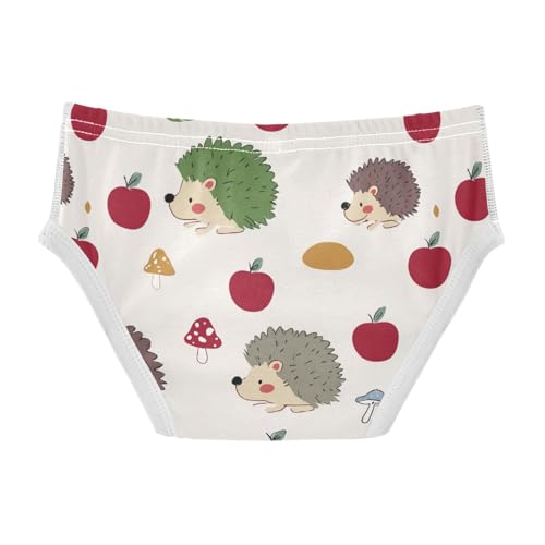 Wusikd Cute Hedgehog Boys' Underwear Cotton Apple Mushrooms Boys Briefs Soft Toddler Underwear 2T2
