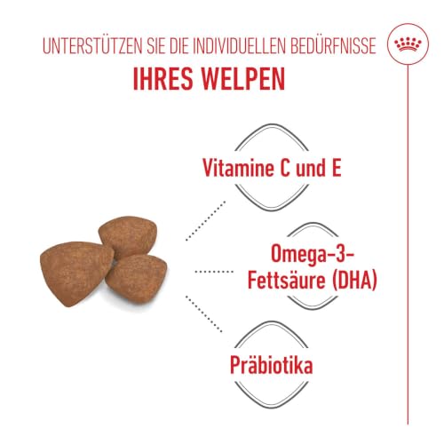 ROYAL CANIN MINI Puppy Trockennahrung für Hunde – 0.8 kg