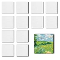 12 Stück Leinwand-Set zum Bemalen – Magnetische Baumwoll-Leinwände für Acryl-, Öl- & Gouachefarben inkl. Strukturpaste (Quadrat 12)