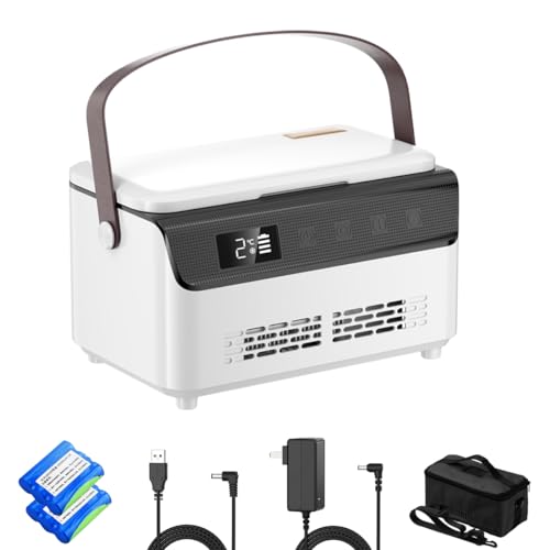 QIRDLP Portable medicine cooler keep cooling (35? ~ 46?) with handle,insulin travel case, usb car cooler with LCD touch screen temperature display for home,travel (double layer Celsius temperature)