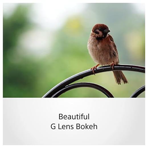 Sony 70-350mm Super Telephoto Zoom Lens