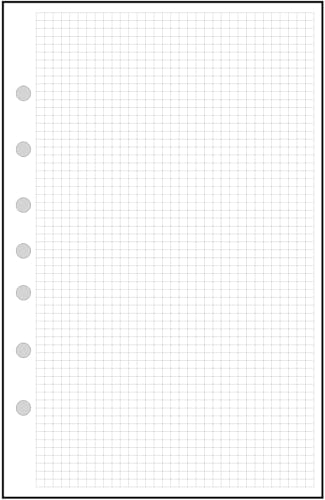 Recharge papier graphique 0,3 cm pour cahier 7 anneaux Franklin 14x21