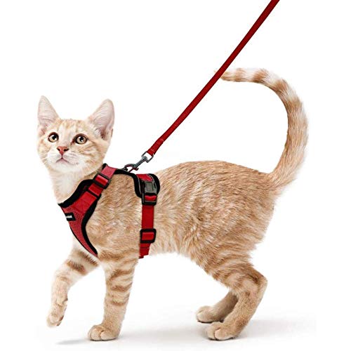 Image of rabbitgoo Cat Harness and Leash Set, Escape Proof Vest, Red