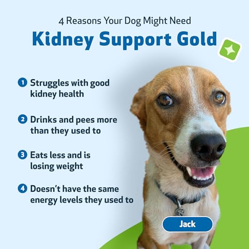 image for Pet Wellbeing Kidney Support Gold for Dogs - Vet-Formulated - Supports