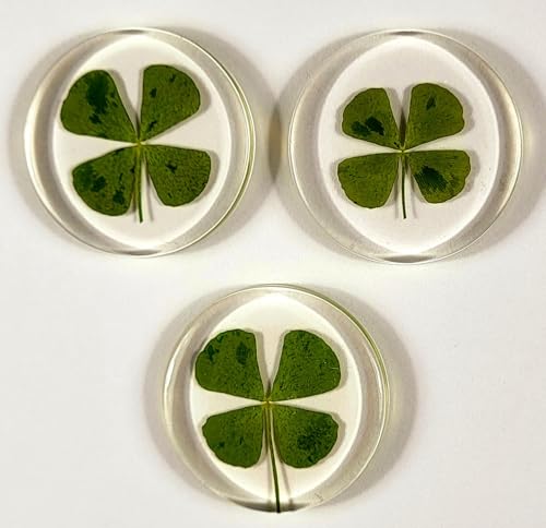Image of 33mm Real Four Leaf Clover Shamrock in Round Crystal Clear Lucite Resin Token Specimen St.Patrick's Day inchLucky Leaf inch Coin Gift Crafts Collection for Botany Science Education & Desk Ornament Display