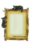 Great Smoky Mountains, Bear Photo Frame 8.5-inch, 4x6