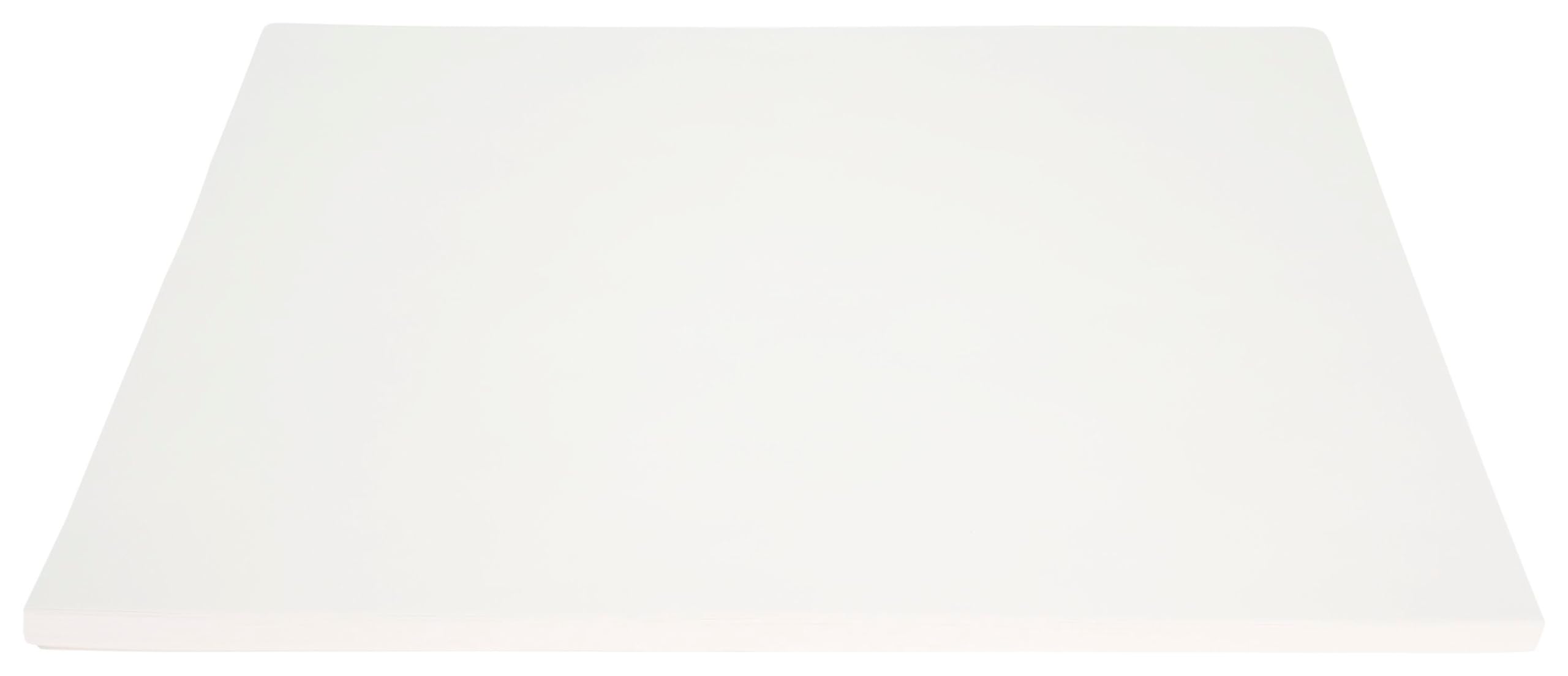 Paper Pen and Ink White 18X24 80 LB 100 SHTS