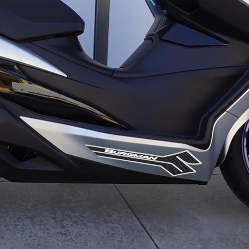 labelbike - 2 3D Stickers Motorcycle Scooter Side Wrinting Burgman Protection and Decoration in Resin Compatible with Suzuki