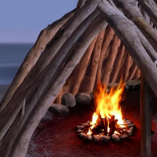 The History of Your Four Walls