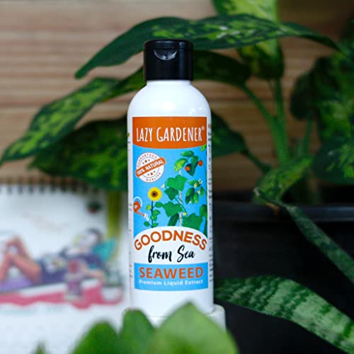 Image of Lazy Gardener Organic Seaweed Liquid Fertilizer Rapidgreen Bliss for Indoor Plants & Outdoor Plants, Flowering & Fruiting Promotes Plant Growth (200 Ml)