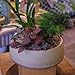 Large Round Concrete Flower Pot Mold Plaster Tray Gypsum Storage Bowl Silicone Mold Cement Succulents Planting Pot Mould