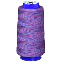 Amazon | FUJIX フジックス キングカラーズスパンミシン糸 段染め