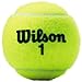 Wilson Championship Tennis Balls (Choose from Extra Duty, Regular Duty, or High Altitude) - 3 Ball Can in Multi-Packs (2-24 Cans Available)