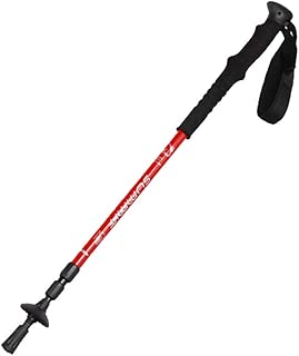 Amazon.com: telescopic pole - New / Lights & Lanterns ...