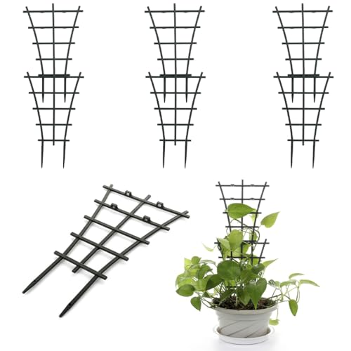 Bangbobi Soporte trepador 6 Soportes trepadores apilables para Plantas de Interior de Exterior, Resistentes a la corrosión y Reutilizables - Favorece el Crecimiento de Las Plantas