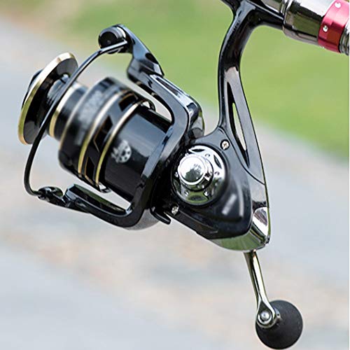 Bobine de pêche 14-5000 pour canne à pêche et matériel robuste