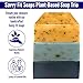 Savvy Fit Soaps Handmade Natural Soap Bar - ATHLETE BARS - BUDDY Bar, STAR Bar, SPORTS Bar Soap Bars - Plant-Based - Both Body & Face - Cruelty-Free Gift for All (Pack of 3) 4.5 oz/Bar