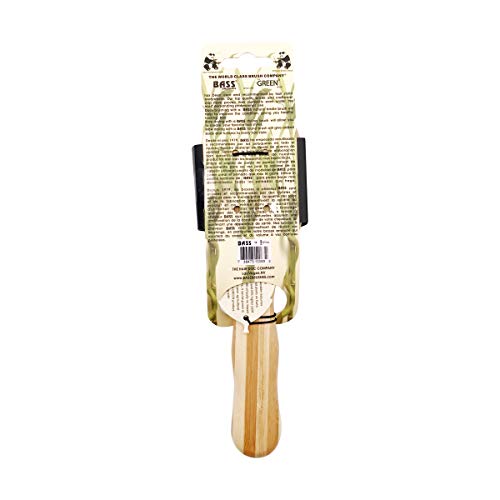 Brush - Large Oval Cushion Wood Bristles Wood