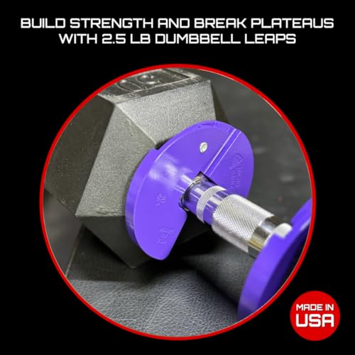 Image of Micro Gainz 1.25LB Dumbbell Fractional Weight Plates, 2-Piece