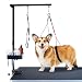 SHELANDY Pet Grooming arm with clamp for Large and Small Dogs - 35 inch Height Adjustable and Free Two No Sit Haunch Holder (Black)