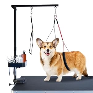 SHELANDY Fellpflege-Arm mit Klemme für große und kleine Hunde, 88,9 cm, höhenverstellbar, inkl. Zwei Nicht sitzenden Haunch-Halter, Schwarz