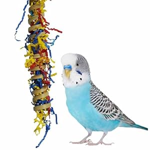 Super Bird Creations SB779 Fiesta Millet Holder Foraging Toy – Handcrafted Bird Toys with Curly Palm Spring & Crinkle Paper, Foraging Toys for Small to Medium Birds, Perfect Cockatiel Toys, 9″ x 1.5″
