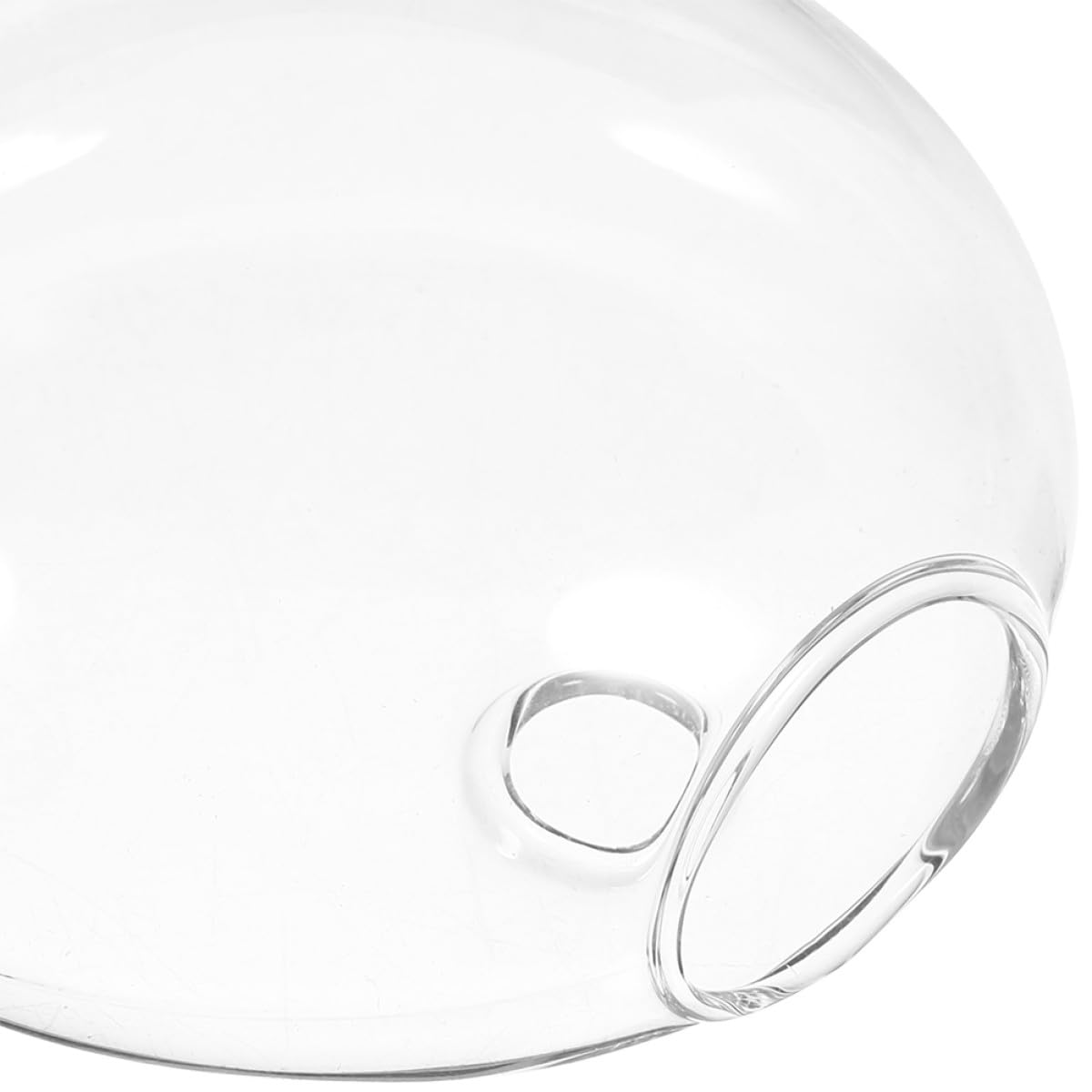 FRCOLOR Lot de 6 Vases Muraux en Verre pour Hydroponie, Pratique et Polyvalent, pour Plantes Succulentes et Petits Pots à Suspendre chez Soi ou Jardin