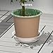 GROWNEER 15 Pack of 6, 8, 10 Inches Clear Plant Saucers Flower Pot Trays, with 15 Pcs Plant Labels, Plastic Plant Drip Trays for Indoor Outdoor Plants Garden, 5pcs of Each Size