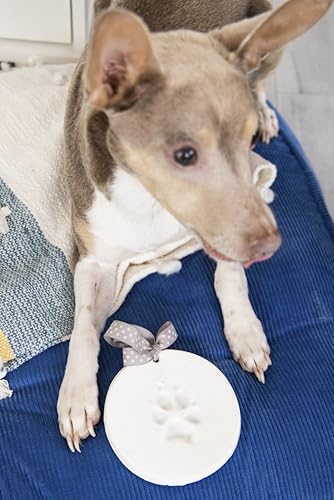 Pearhead Pet Paw Print Keepsake Kit - DIY Hanging Clay Keepsake for Dogs & Cats, Easy Air-Dry Clay, No-Mess, Perfect for New Pet Owners and Memorial, Personalized Pawprint Gift, Gray Ribbons