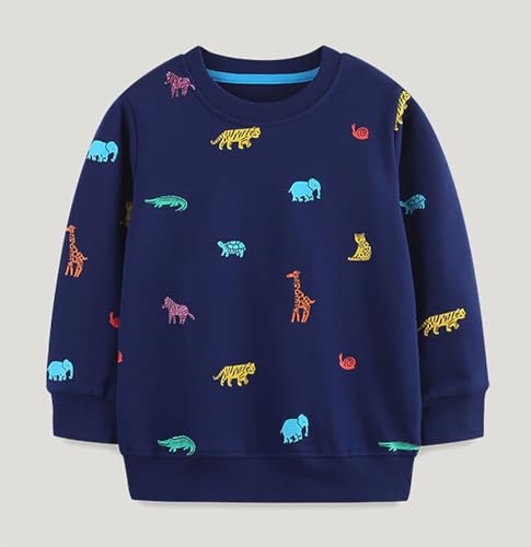 Boys Sweatshirts Casual Sweatshirts Cotton Sweatshirts Long Sleeve T-shirts Crew Neck Cartoon Tops for Boys-3723