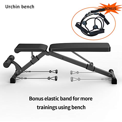 Urchin Adjustable Strength Training Bench for Full Body Multi-Functional Workout Exercise Dumbbell Bench Press Work Out GYM Weight Entryway Bench - Home Fitness Guru Urchin Adjustable Strength Training Bench for Full Body Multi-Functional Workout Exercise Dumbbell Bench Press Work Out GYM Weight Entryway Bench - Image 4