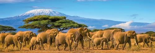 Puzzle 500 pièces panoramique : Troupeau d?éléphants Ravensburger Nathan - vue 4