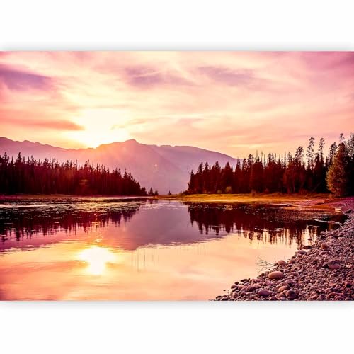 murando Carta da parati Paesaggio 400x280 cm Fotomurali in TNT Murale alla moda Decorazione da Muro XXL Poster Gigante Design Carta per pareti Montagna Pre Foresta Natura c-B-0631-a-a