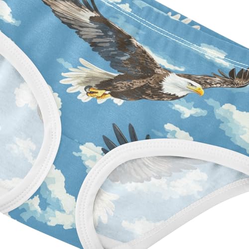 ZZKKO Blue Sky Eagle Girls Underwear Toddler Panties for Girls Comfort Brief Size 2T-8Y3