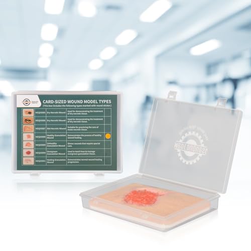 Image of Healthy Granulation Wound Simulation Models for Education