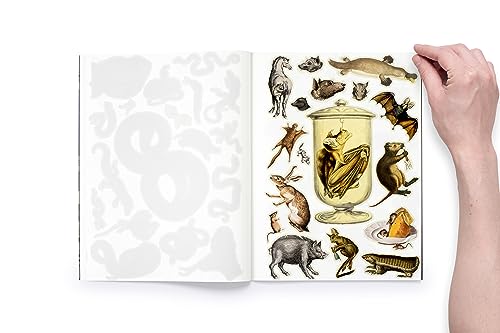 Cut Up This Book and Create Your Own Underworld: 1,000 Unexpected Images for Collage Artists - Image 6