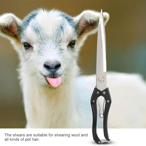 Cisaille à mouton outil de tonte manuelle durable en acier