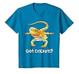 pogona henrylawsoni couleur Petits reptiles drôles d'Australie. Les propriétaires de gecko vont adorer ce joli dragon barbu. Offrez-le à n'importe quel papa reptile ou maman dragon barbu.