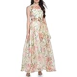 Eliza J Women's Gown Style Floral Organza Sleeveless Jewel Neck Dress, Ivory Multi