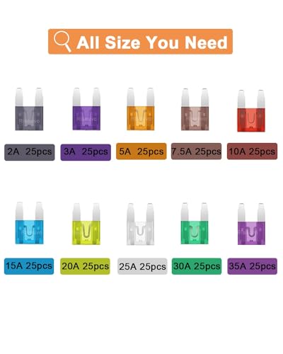 Riseuvo R-20190801-240M 250 Pcs Mini Blade Fuse Assortment thumb #3